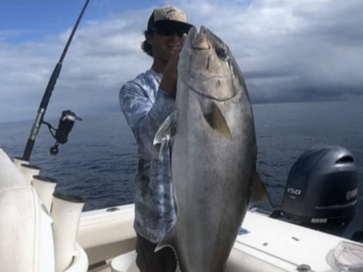 Season's Greetings - Welcome to The Bimini Blog!